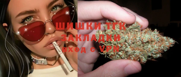 прущие грибы Волосово