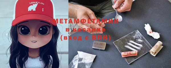 прущие грибы Волосово