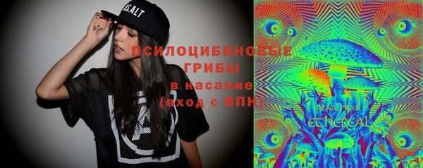 прущие грибы Волосово