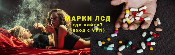 прущие грибы Волосово