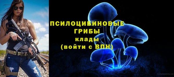 прущие грибы Волосово