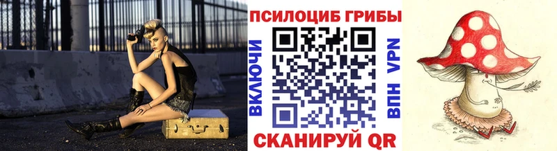 даркнет официальный сайт  где купить наркоту  Певек  Галлюциногенные грибы мицелий 